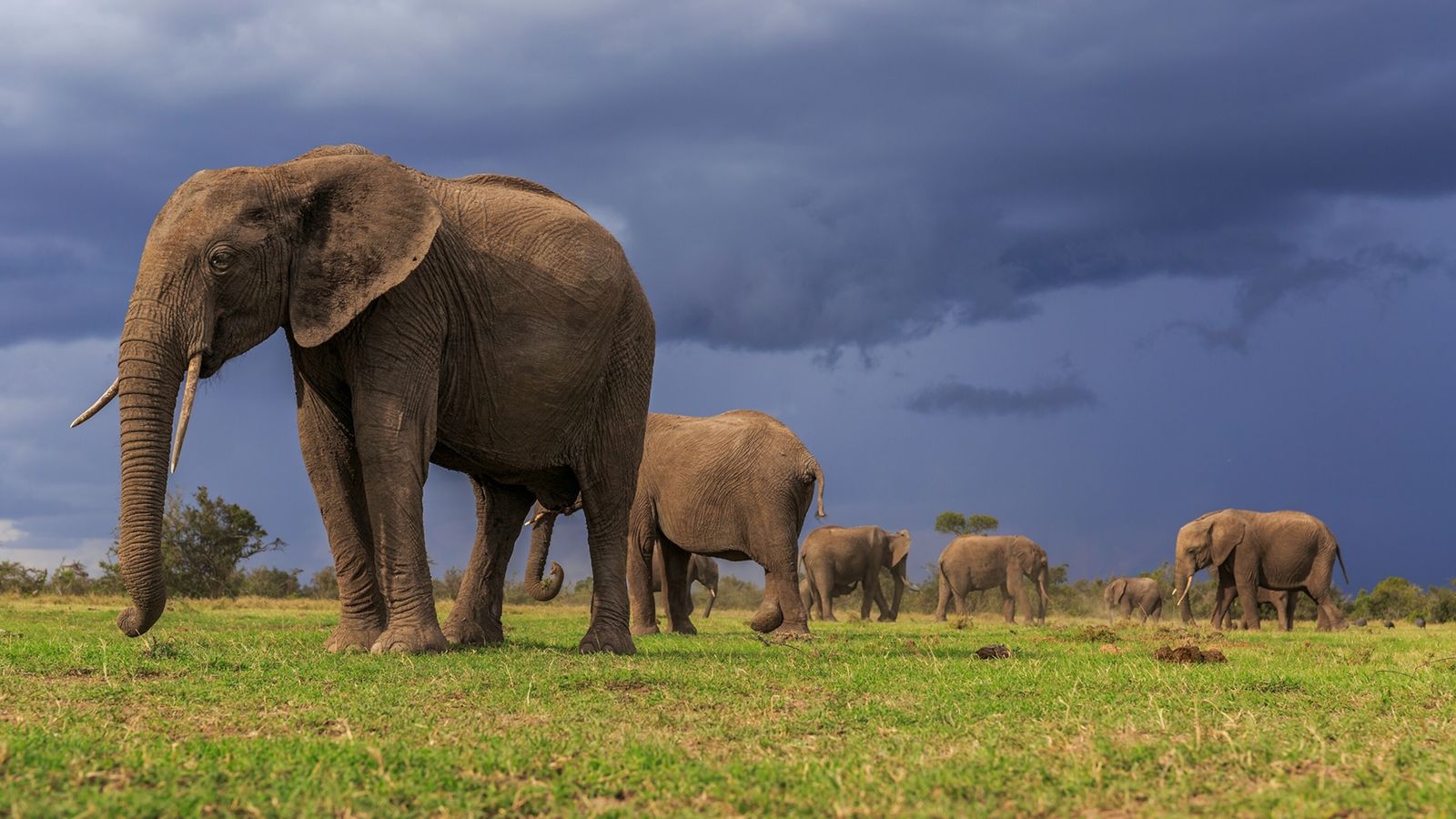 nationalgeographic_2684358.jpg (199 KB)